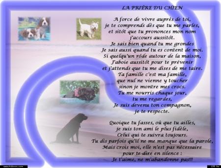 La prière du chien