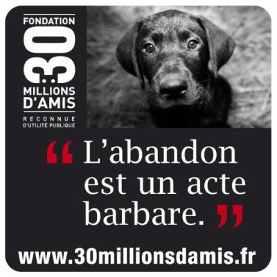 N'abandonnez pas vos animaux !!!